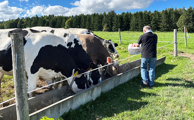 【卵不使用・無添加】ブラウンアイス（100ml）12個セット 北海道 南富良野町 アイス デザート おやつ 無添加 バニラアイス バニラ アイスクリーム 