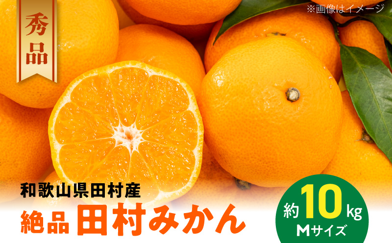 AB7069_【和歌山特産品】【プレミアムブランド】絶品！ 田村みかん 秀品 Mサイズ 10kg