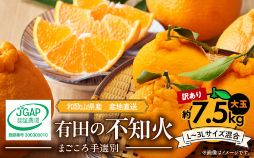 【和歌山県有田郡湯浅町】ZE6107n_【2026年先行予約】有田の不知火(しらぬひ) 【訳あり 家庭用】7.5kg 大玉?(L〜3Lサイズ混合)まごころ手選別