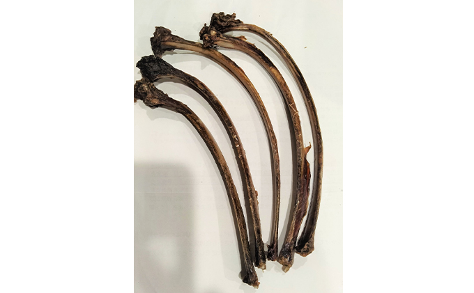 ペット用鹿ジャーキー詰合せ 