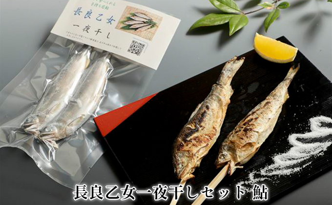 【岐阜県美濃市】長良乙女一夜干しセット 鮎 和食 惣菜 魚 つまみ おかず お酒 晩酌 あて お供 肴 魚料理 調理済み 川魚 骨 柔らかい 頭 丸ごと 旨味 凝縮 冷凍 干物