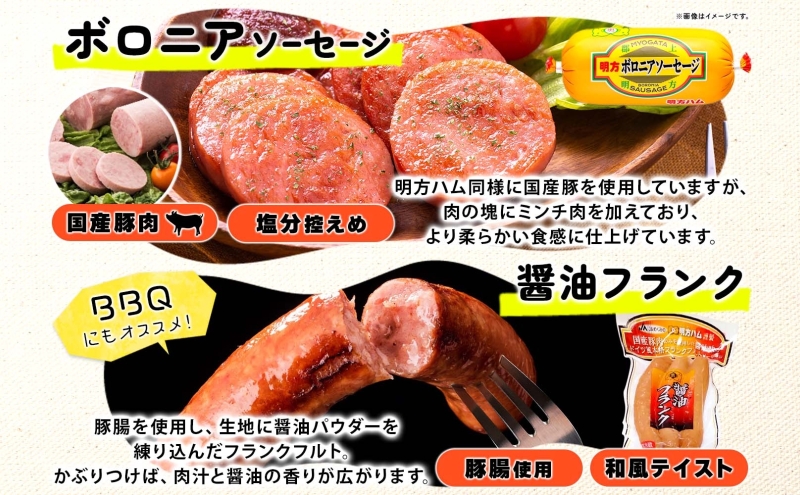 明方 ハム Bセット ボロニア ソーセージ フランクフルト JA ブランド 豚肉 お肉 国産 熟成 塩分 控えめ 豚腸 バーベキュー BBQ 加工品 お取り寄せ 贈答 ギフト 送料無料 めぐみの農業協同組合 岐阜県 美濃市