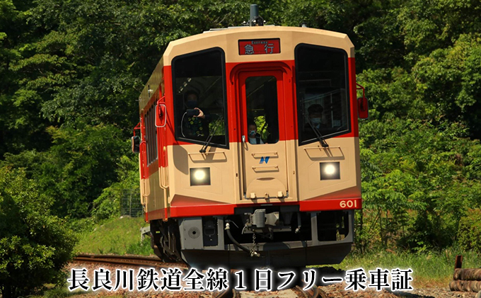 長良川鉄道全線1日フリー乗車証 体験 チケット フリーパス ローカル鉄道 記念品 想い出 台紙付き 限定 ゆるキャラ うだつくん 車窓 絶景 名所 巡り 電車 趣味 旅