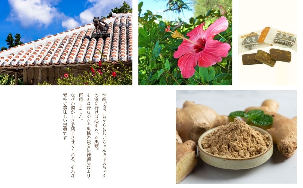 沖縄の黒糖　国産生姜使用【生姜黒糖】10袋セット