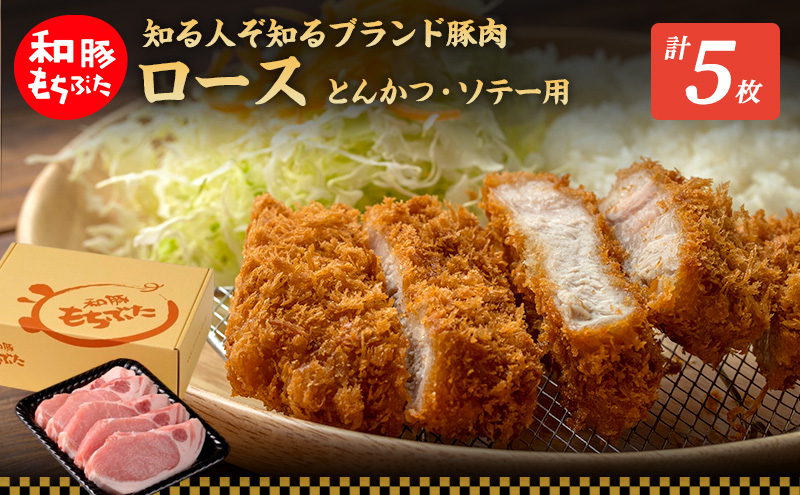 【宮城県大河原町】もちぶた ロース 150g × 5枚 ソテー とんかつ 和豚 もち豚 豚肉 ポーク お肉 肉 豚 ぶた ブタ 豚ロース 精肉 アウトドア キャンプ バーベキュー 冷蔵 宮城 スペシャルキャンペーン 10,000円台おすすめ返礼品