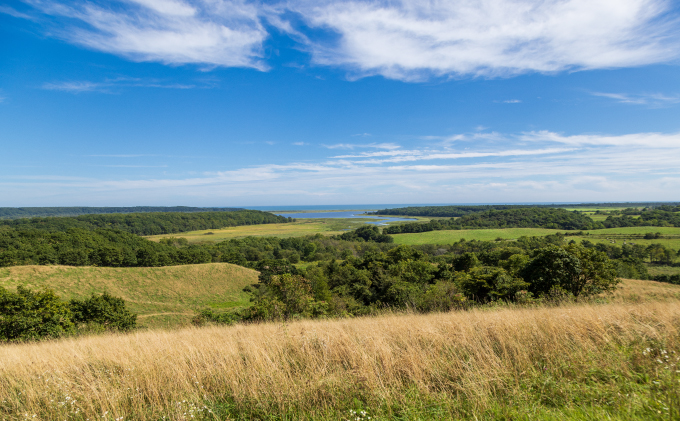 デザート感覚で食べる「湖水地方牧場の白いチーズとオリジナルバウムクーヘン」のペアリング提案 お菓子 スイーツ 乳製品 焼き菓子 セット 熟成 フレッシュチーズ 北海道産 おやつ 