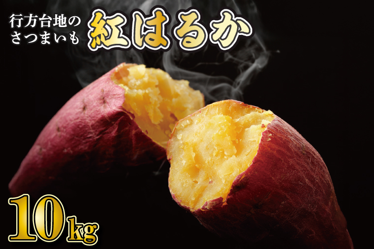 y錧sszy2025N12菇z󂠂聚 I sn̂܂ g͂邩 10kgb܂  Tc}C g͂邩 󂠂 킯 I s\ 錧 ss(CU-55-5)