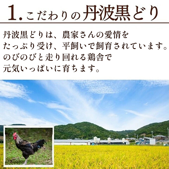 地鶏 丹波 黒どり 手羽元 4kg 鶏肉 冷凍 鍋 丹波山本 ヘルシー ボリューム 鳥 鶏おでん スープ お肉 ブランド鶏 上質 脂 旨み 鍋料理 煮物 揚げ物 BBQ 
