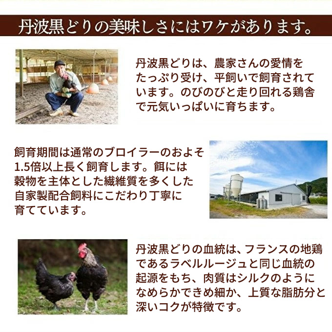 地鶏 丹波 黒どり 手羽元 4kg 鶏肉 冷凍 鍋 丹波山本 ヘルシー ボリューム 鳥 鶏おでん スープ お肉 ブランド鶏 上質 脂 旨み 鍋料理 煮物 揚げ物 BBQ 