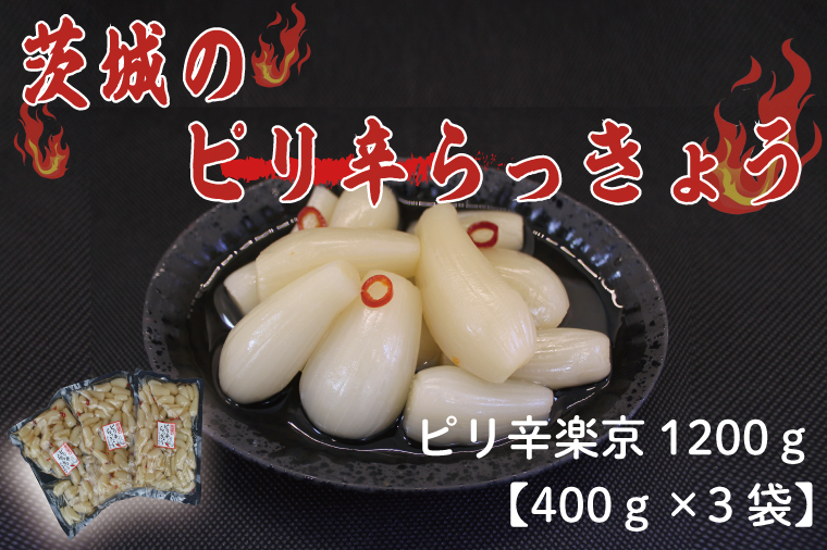 茨城県行方市のふるさと納税 BC-3☆茨城のピリ辛らっきょう