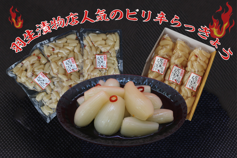 茨城県行方市のふるさと納税 BC-3☆茨城のピリ辛らっきょう