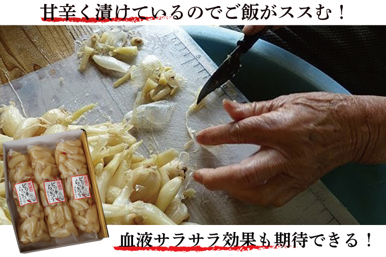 茨城県行方市のふるさと納税 BC-3☆茨城のピリ辛らっきょう