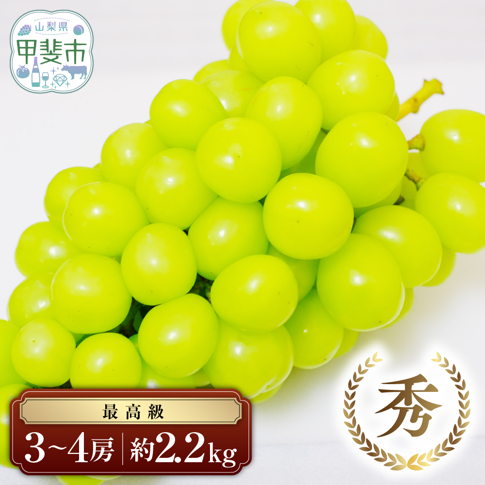 【2026年発送】 最高級 シャインマスカ