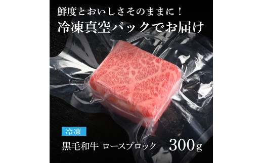 TKA176　天下味 長期熟成肉 エイジングビーフ 黒毛和牛 ロース肉ブロック 300ｇ 国産 A5 黒毛和牛 牛肉 ブロック 肉 人気 老舗焼肉店 冷凍 新鮮 真空パック 美味しい ローストビーフ ステーキ 贅沢 お祝い 高知 芸西村 返礼品 故郷納税 贈り物 贈答 ギフト 11000円