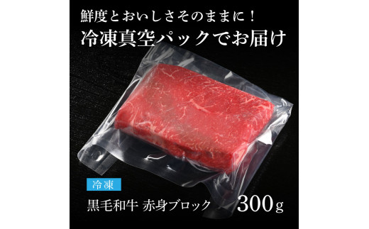 TKA164　天下味 長期熟成肉 エイジングビーフ 黒毛和牛 ももブロック 300g もも肉 モモ 国産 黒毛和牛 A5ランク 肉 牛肉 ブロック 和牛 赤身 塊肉 人気 老舗焼肉店 冷凍 新鮮 真空パック 贅沢 お祝い 高知 芸西村 返礼品 故郷納税 贈り物 贈答 ギフト 10000円