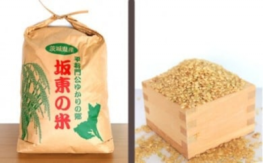 No.177 【令和7年産】茨城県坂東産　