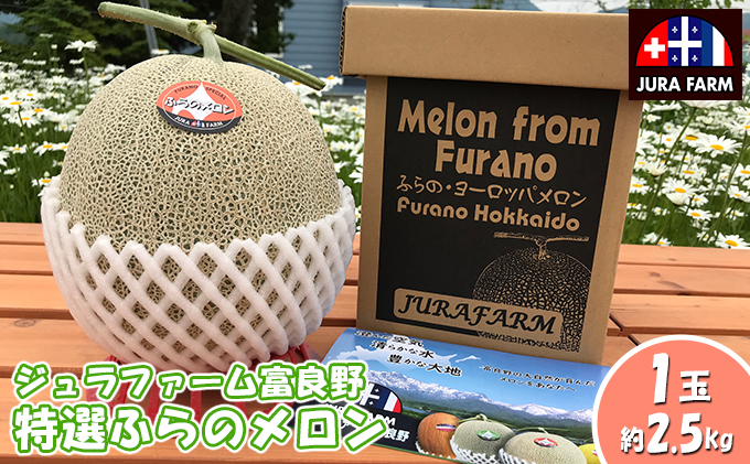 【2026年6月下旬～発送】特選 ふらの メロン 1玉 約2.5kg 北海道 富良野市 赤肉メロン (ジュラファーム富良野) メロン フルーツ 果物 新鮮 甘い 贈り物 ギフト 道産 ジューシー おやつ ふらの ブランド 夏 