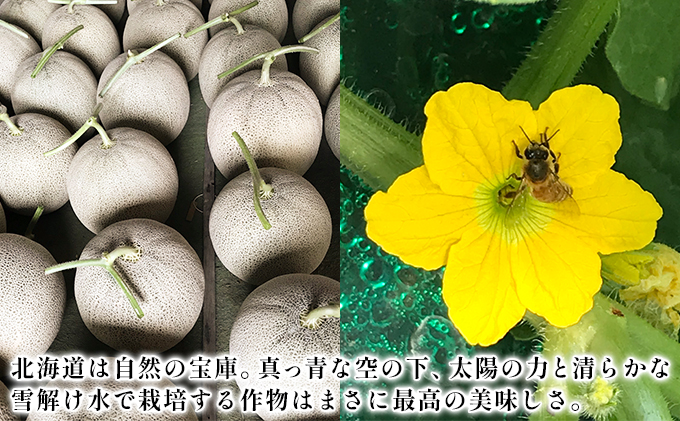 【2026年6月下旬～発送】特選 ふらの メロン 1玉 約2kg 北海道 富良野市 赤肉メロン (ジュラファーム富良野) メロン フルーツ 果物 新鮮 甘い 贈り物 ギフト 道産 ジューシー おやつ ふらの ブランド 夏 