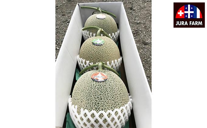 【2026年6月下旬～発送】特選 ふらの メロン 3玉 約2kg×3玉 北海道 富良野市 赤肉メロン (ジュラファーム富良野) メロン フルーツ 果物 新鮮 甘い 贈り物 ギフト 道産 ジューシー おやつ ふらの ブランド 夏 