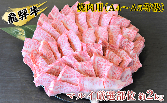 飛騨牛 春夏秋冬お届けセット　A4～A5等級使用（4回合計約4.8kg） お肉 牛肉 ヒレ 焼肉 すき焼き 