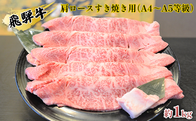 飛騨牛 春夏秋冬お届けセット　A4～A5等級使用（4回合計約4.8kg） お肉 牛肉 ヒレ 焼肉 すき焼き 