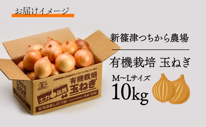 北海道 新しのつ産 有機栽培 玉ねぎ M-L サイズ混合 約10kg 玉葱