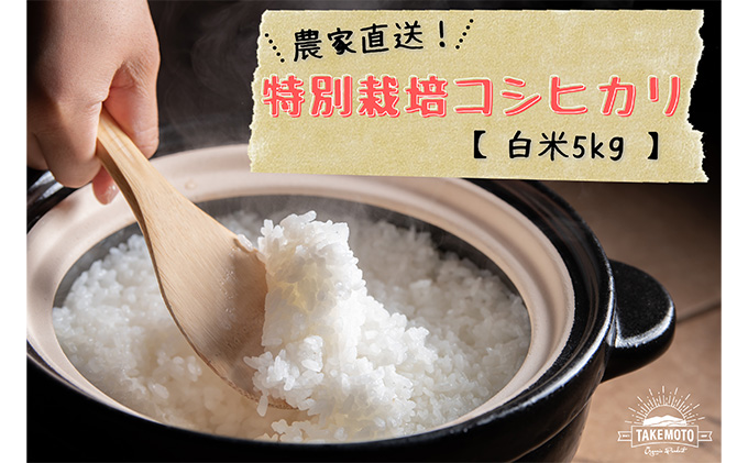 特別栽培コシヒカリ　白米5kg お米 