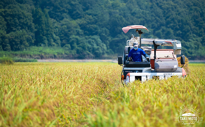 リゾットMAMMA 能登きのこ　4個セット お米 リゾット向け 米 