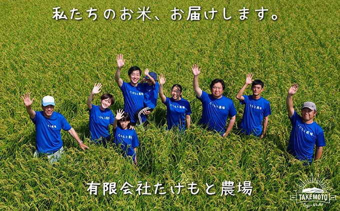 リゾットMAMMA 能登きのこ　4個セット お米 リゾット向け 米 