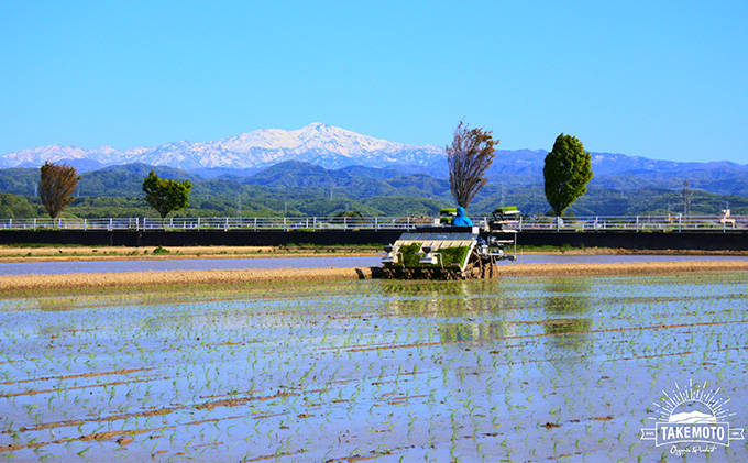 特別栽培コシヒカリ　白米5kg お米 