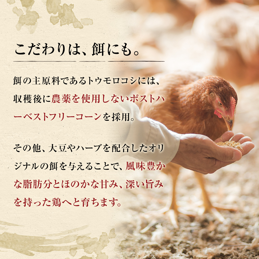 福岡県朝倉市のふるさと納税 水炊きセット 鶏飼う人 古処鶏 こしょどり ギフトセット 天野商店 配送不可 離島 鍋セット水炊き お肉 鶏肉 ムネ モモ