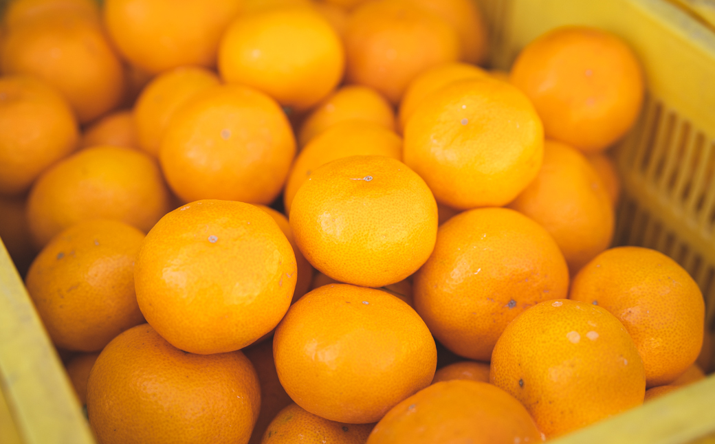 BP6011_かねよし農園 田村みかんジュース 3本 セット【和歌山 ミカンジュース ストレート 果汁100%】