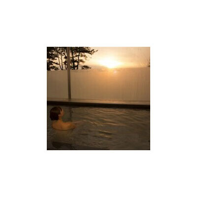 全日 さんねむ温泉 宿泊券[1名:1泊朝食付・スタンダードツイン] 旅行券 チケット 