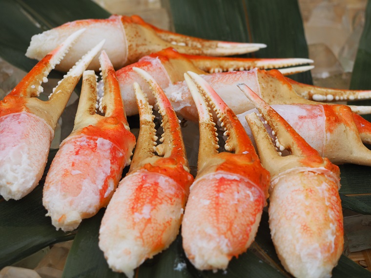 【12月25日決済確定分まで年内発送】ボイル ずわいがに 爪 400g 弥七商店 かに弥 ずわい蟹 ズワイガニ かに カニ 蟹 ズワイ 鍋 焼きガニ かにつめ 蟹爪 蟹つめ