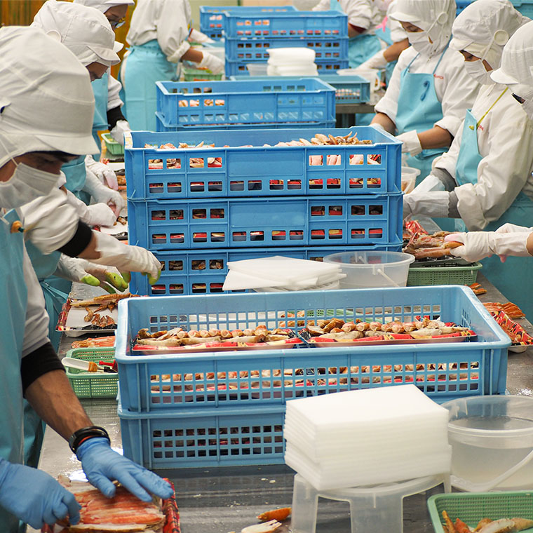 【12月25日決済確定分まで年内発送】ボイル たらばがに 足 1kg カット済 ハーフポーション タラバ 弥七商店 かに弥 たらば蟹 タラバガニ かに カニ 蟹 鍋 焼きガニ