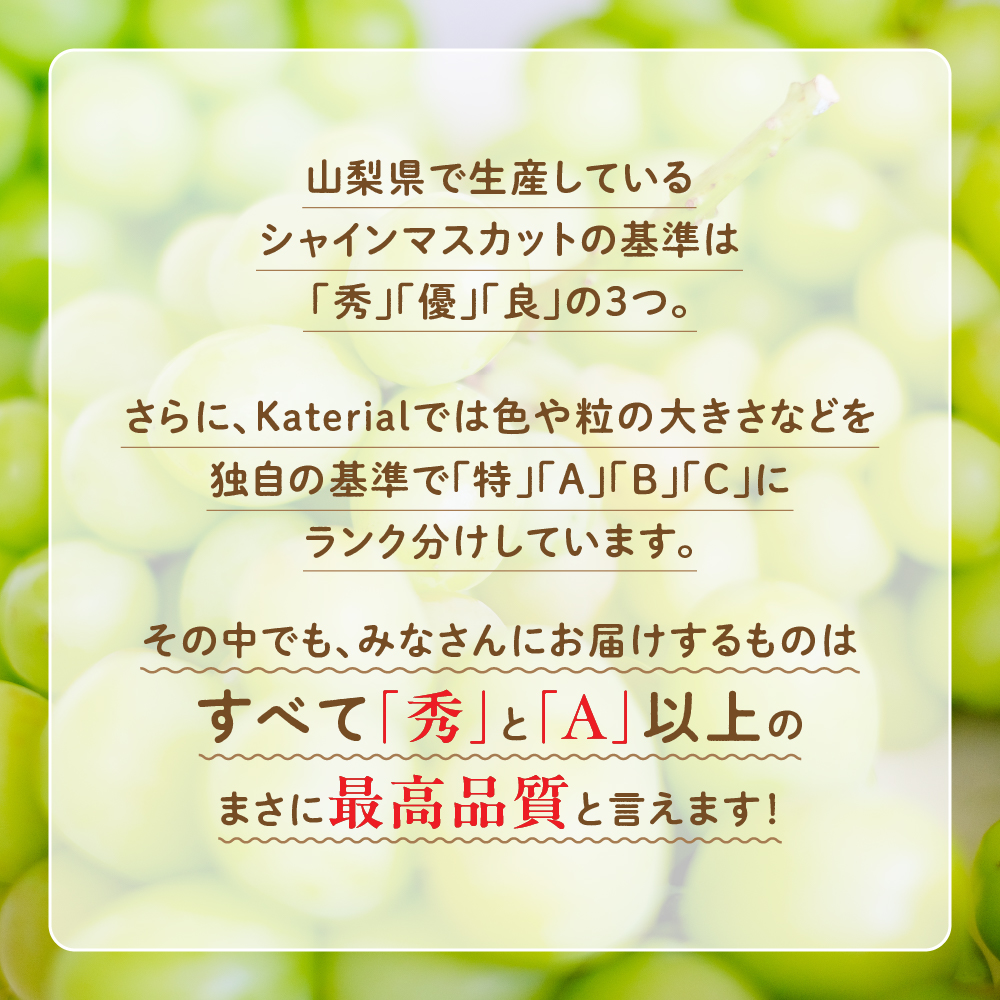 山梨県甲斐市のふるさと納税 【来年（2026年/令和8年）発送＜先行予約＞】 シャインマスカット　2.0kg相当　人気　おすすめ　国産　贈答　ギフト　お取り寄せ　　山梨県産　産地直送　フルーツ　果物　くだもの　ぶどう　ブドウ　葡萄　シャイン　シャインマスカット　新鮮　AD-84