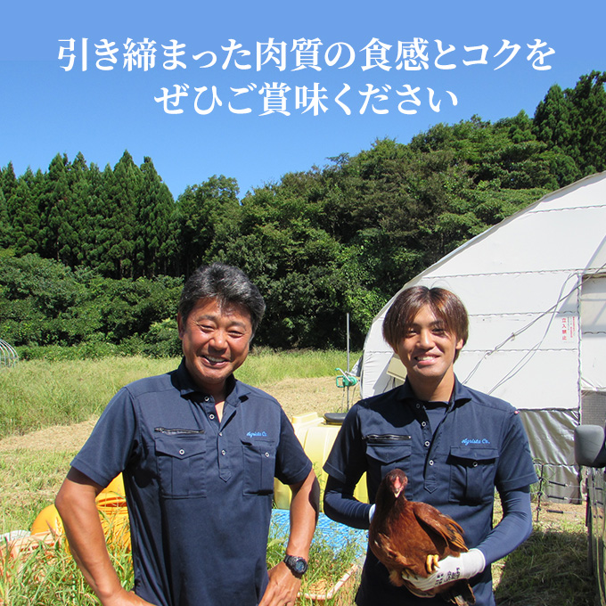 秋田県産 比内 地鶏 定期便 900g(150g×6袋×5ヶ月 計4.5kg 小分け もも ムネ 味付け無し） 贅沢 比内地鶏 鶏肉 鶏もも肉 鶏ムネ肉 鳥肉 鶏胸肉 冷凍 