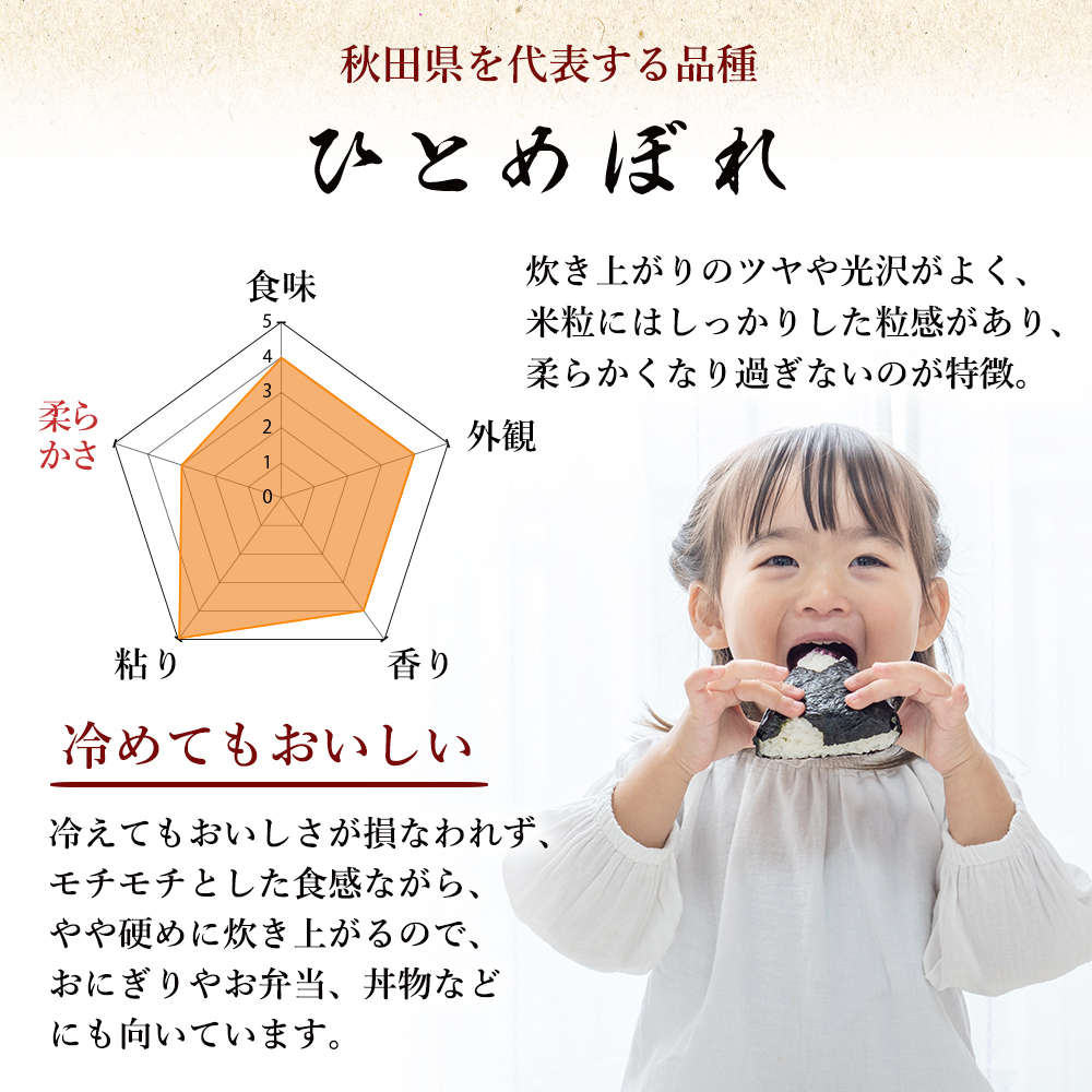米 定期便 全6回 秋田県産 ひとめぼれ 10kg (5kg×2)×6回 計60kg