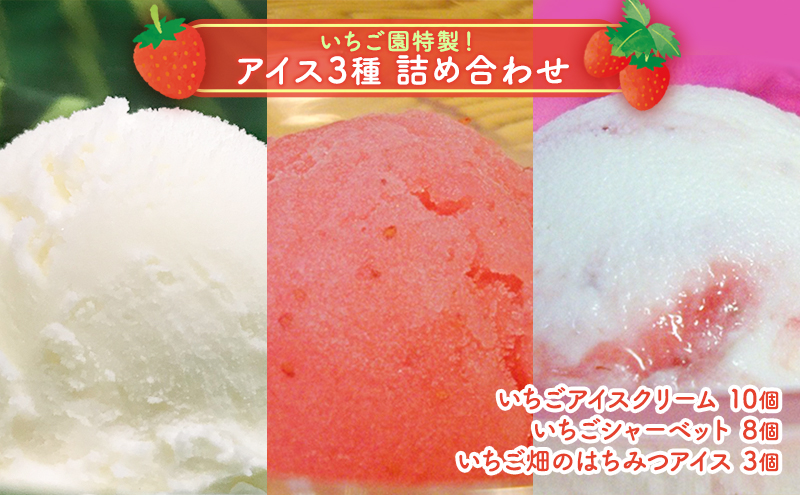 浜いちごのアイスクリーム・シャーベット・いちご畑のはちみつアイスのたっぷり詰合せ スイーツ セット 