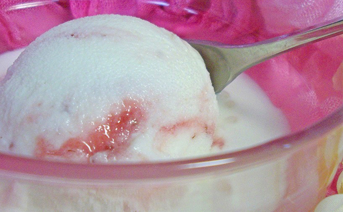 浜いちごのアイスクリーム・シャーベット・いちご畑のはちみつアイスのたっぷり詰合せ スイーツ セット 