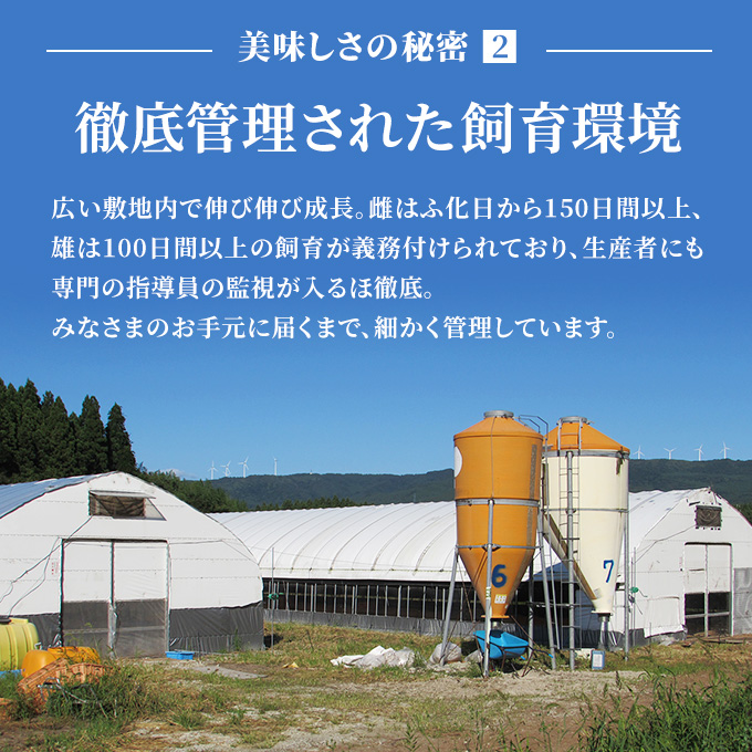 秋田県産 比内 地鶏 定期便 900g(150g×6袋×11ヶ月 計9.9kg 小分け もも ムネ 味付け無し） 贅沢 比内地鶏 鶏肉 鶏もも肉 鶏ムネ肉 鳥肉 鶏胸肉 冷凍 