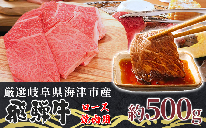 【飛騨牛】海津市産ロース焼肉オリジナルカット 【配達不可：離島】 お肉 牛肉 焼肉用 バーベキュー ロース肉 ブランド牛 国産 岐阜県産 柔らかい肉質 サシ 霜降り とろける 