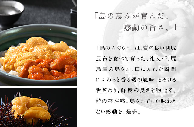 北海道礼文島産　旬凍ウニ食べ比べセット（80g×各2個） 魚貝類 海の幸 海鮮 北海道産 つまみ うに丼 手巻き寿司 濃厚 甘み とろける エゾバフンウニ 旨み キタムラサキウニ 