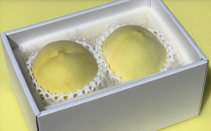 桃 2026年 先行予約 白桃 冬美白 とうびはく 2玉 1玉約350g もも モモ 令和7年 岡山 赤磐市産 国産 フルーツ 果物 ギフト 果肉 しっかり 柔らかい 食感 大変貴重 高糖度 栽培方法 