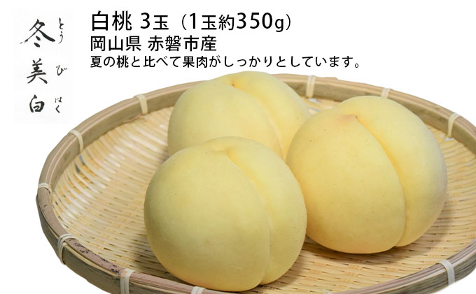 【岡山県赤磐市】桃 2025年 先行予約 白桃 冬美白 とうびはく 3玉 1玉約350g もも モモ 令和7年 岡山 赤磐市産 国産 フルーツ 果物 ギフト 果肉 しっかり 柔らかい 食感 大変貴重 高糖度 栽培方法