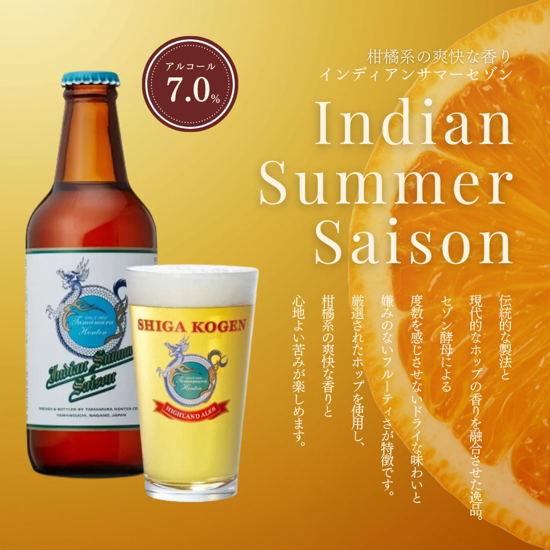 定期便 6ヶ月 志賀高原ビール12本セット ※WEB申込限定 【 クラフトビール 志賀高原ビール 飲み比べセット 玉村本店 ビール 詰め合わせ セット 地ビール 飲み比べ 黒ビール ipa ペールエール 酒 お酒 定期 お楽しみ 6回 】 