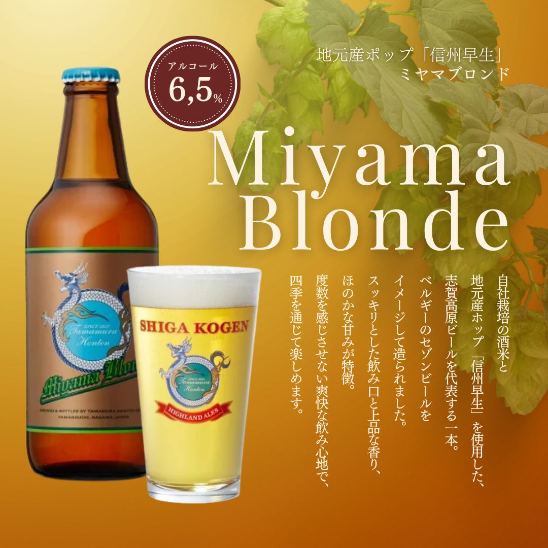 定期便 6ヶ月 志賀高原ビール12本セット ※WEB申込限定 【 クラフトビール 志賀高原ビール 飲み比べセット 玉村本店 ビール 詰め合わせ セット 地ビール 飲み比べ 黒ビール ipa ペールエール 酒 お酒 定期 お楽しみ 6回 】 