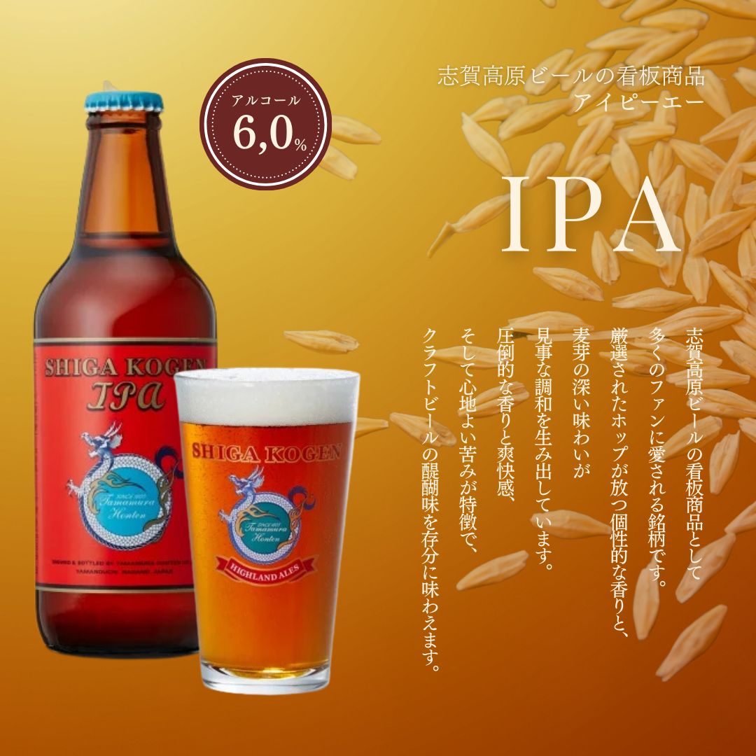 定期便 6ヶ月 志賀高原ビール12本セット ※WEB申込限定 【 クラフトビール 志賀高原ビール 飲み比べセット 玉村本店 ビール 詰め合わせ セット 地ビール 飲み比べ 黒ビール ipa ペールエール 酒 お酒 定期 お楽しみ 6回 】 