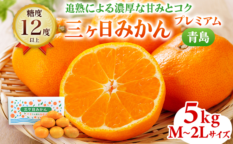 2025年12月中旬より順次発送】三ヶ日みかん プレミアム（青島5kg）果物