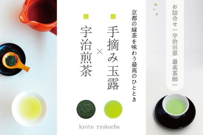 手摘み玉露と宇治煎茶のお詰合せ～宇治田原最高茶師～〈お茶 茶 煎茶 緑茶 茶葉 玉露 手摘み玉露 雁が音 茎茶 詰合せ 最高茶師 大臣賞 飲料 加工食品〉 